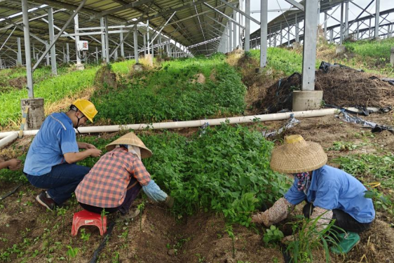 1745820301187037539.png 2b8f0059ac7c0ff089a0205b0fc8f72.png