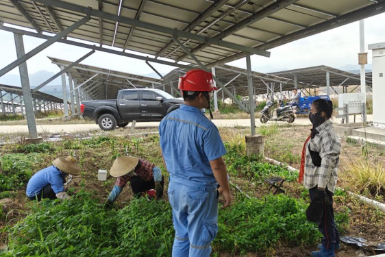 1745820081432039998.png 43e072cf94ee3a1840e9df445990f54.png