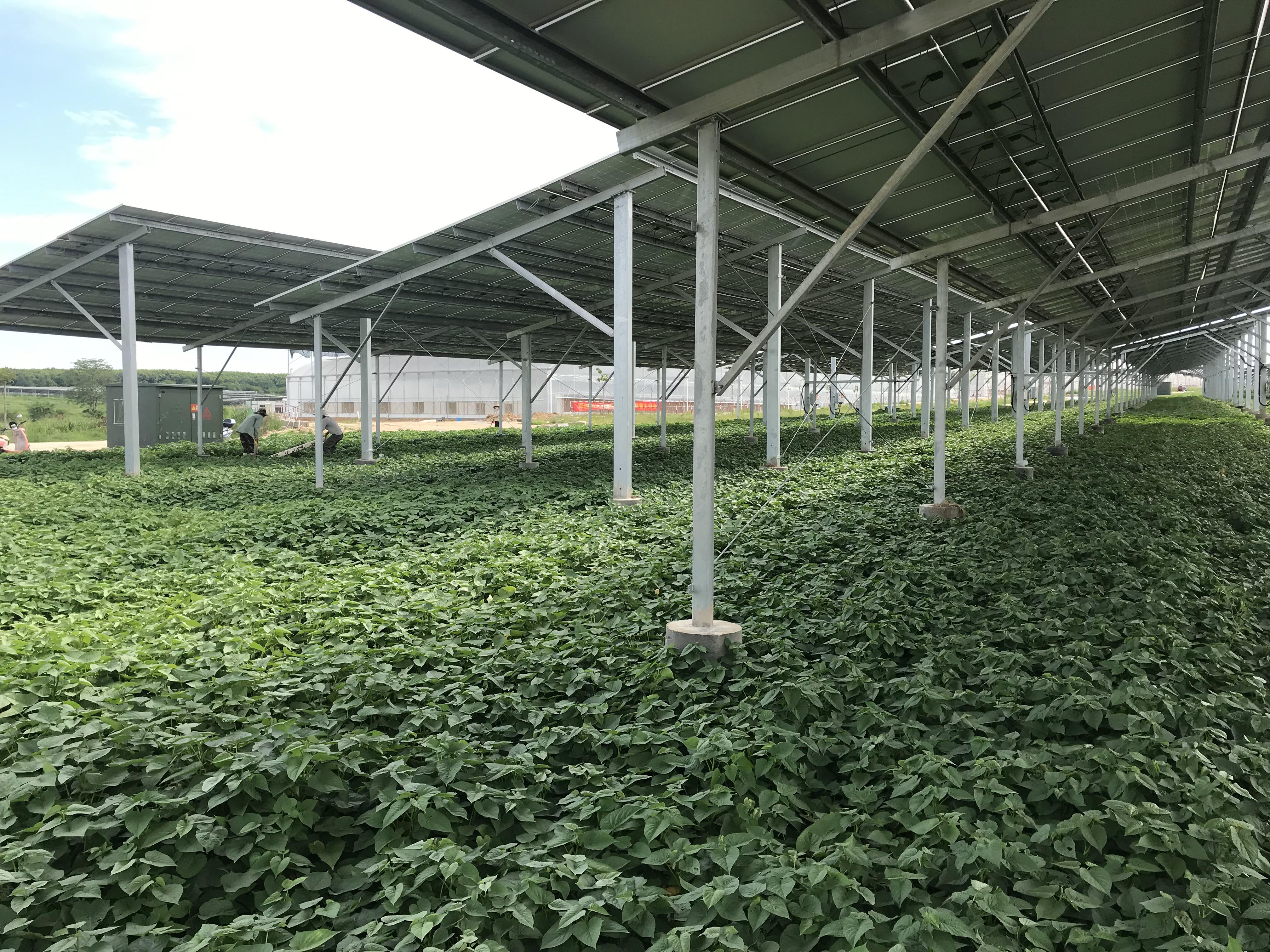 1745822554589050197.jpg b578af3680f5277810c14f36480a381.jpg