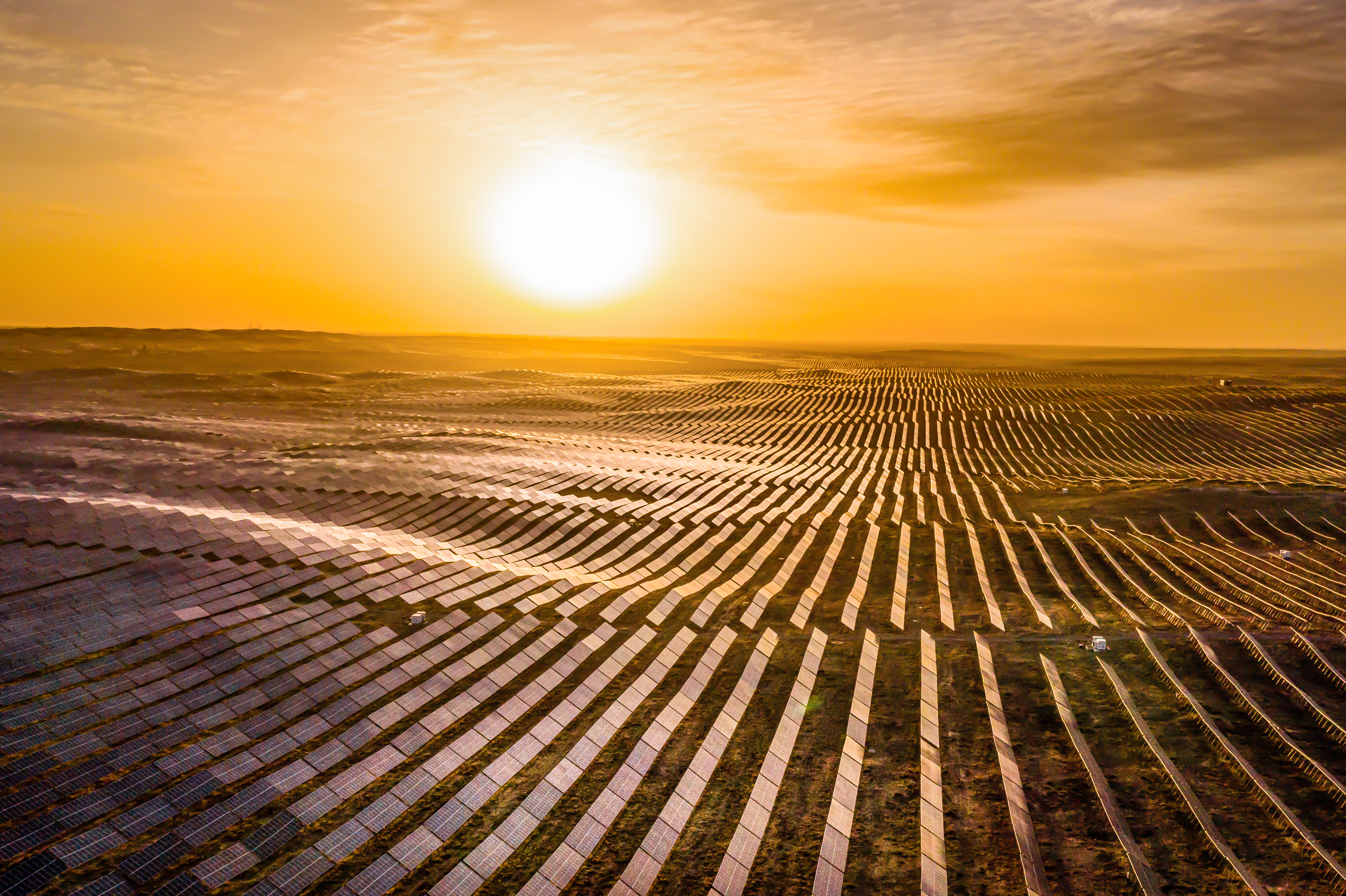 1745484994562032508.jpg c114db2facba947d22d43895bab199d.jpg